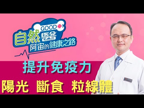 提升免疫力，斷食與活化粒線體