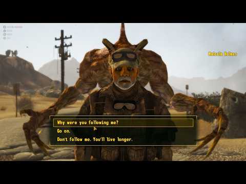 Fallout Being Fallout for 30 Minutes