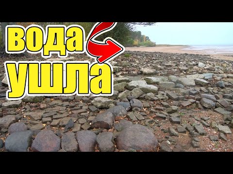 Обалдеть!Ушла вода и пошли находки!Столько монет я еще не находил!