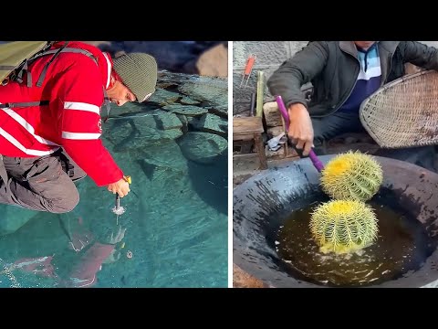 Try Not To Say WOW Challenge! Oddly Satisfying Video that Delights Your Eyes.