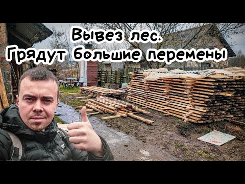 20 кубов древесины за бутылку хорошего алкоголя. Приехал бесплатный стройматериал (лес)