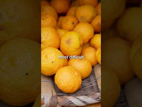 Rare Citrus From Japan | How to grow Yuzu with results | #Umamigarden #japan #japanesefood