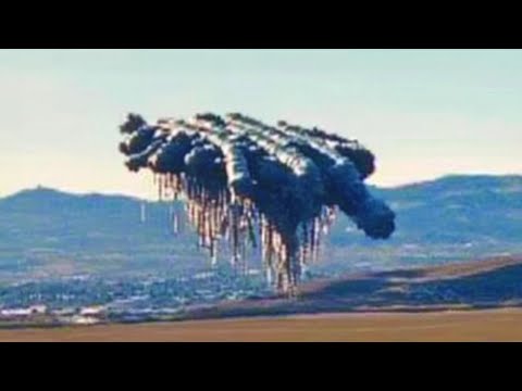 I wouldn't believe it myself, but this video was captured on camera.