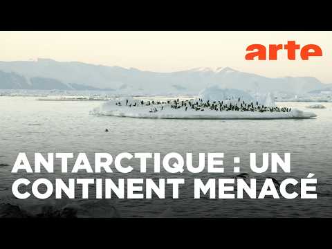 Les métamorphoses du continent blanc | Documentaire | ARTE