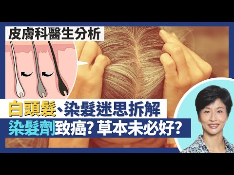 白頭髮｜黑髮比白髮易脫髮！皮膚科醫生拆解染髮迷思 染髮劑不致癌症 天然草本染髮劑未必好？漂髮不傷髮根毛囊！｜王建芳醫生 皮膚科何景文醫生｜人類健康研究所