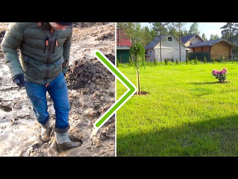 ОТ воды и грязи - ДО сухого участка, принудительный дренаж | Газон с клевером