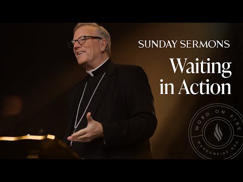 Waiting in Action - Bishop Barron’s Sunday Sermon