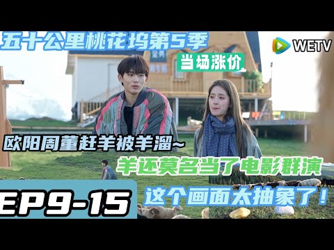 《五十公里桃花坞s5 》EP9-15:欧阳周董赶羊画面~董思成被羊溜#五十公里桃花坞s5 #仁科 #徐志胜 #孟子义 #李雪琴#蔡文静 #周翊然#汪苏泷 #王子奇