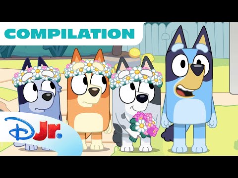 Bluey Compilation | Best of Bluey Season 3 | 90 Minutes | @disneyjr
