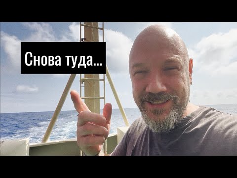 Очередной обед обычного дня. Снова туда …