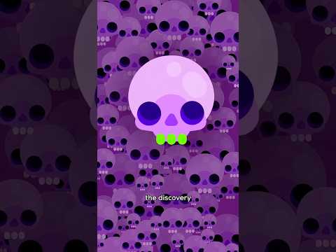 How Radioactive Are Your Teeth?