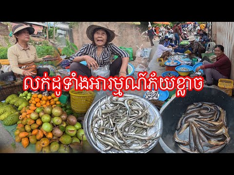 ភ័យខ្លាចយ៉ាងណាក៏ត្រូវរកសុីដែល​ លក់បណ្តេីរងេីយមេីលមេឃបណ្តេីរ​ ជួបម្តងភ័យណាស់​ ស្ថានភាពថ្ងៃ២៥ក្នុងផ្សា