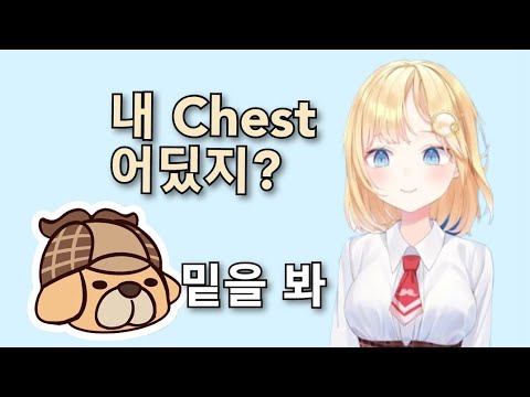 (홀로en) Chest 뜻: 상자, 가슴