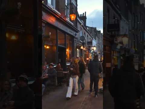 London, Hampstead Winter Walk | Cozy Cafés and a Hidden Gem of London #walkiwalko #london #uk