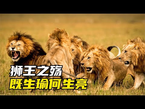 一打三一打四，雄獅C男孩血戰殺手聯盟 | Lion King