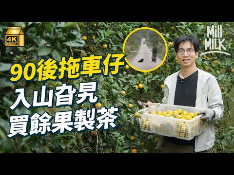 #MM｜90後走入山旮旯買本地獨特風味水果製茶 望讓港人嚐香港味道 梅子林村曾經盛產柑桔 復耕種過100棵柑橘 走遍山旮旯小村尋巨型奶蕉、高山咖啡、山檸柑｜#700萬種生活 #4K