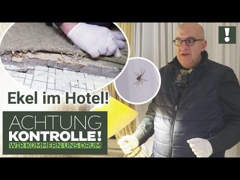 Schmuddeliges Hotel & achtbeiniger Mitbewohner empören Hoteltester! | Achtung Kontrolle