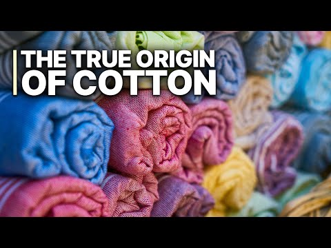 The True Origin of Cotton | The Dirty Secret Behind 'Ethical' Cotton Labels
