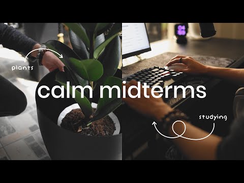 a week in my life during midterms | calm vlog