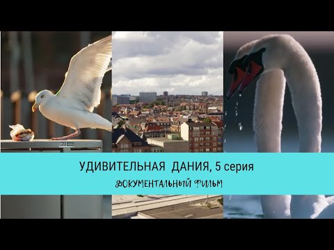 Удивительная Дания, 5 серия / Рейтинг 9,8 / Документальный фильм (2020)