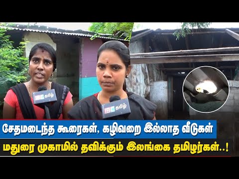 ”இதற்கு கூட வசதி இல்லை எங்களுக்கு”… புலம்பும் மதுரை முகாம் இலங்கை தமிழர்கள் | Sri Lankan Tamils