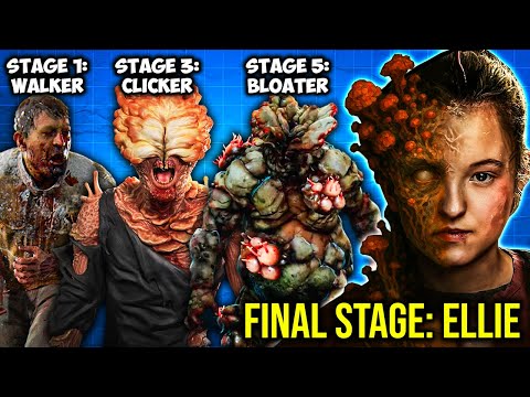 The Last of Us: All 7 Evolutions of the Cordyceps Brain Infection Explained (Clicker, Rat King...)