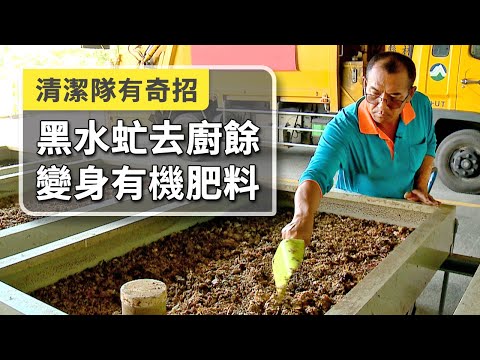 清潔隊處理廚餘有奇招！他們善用「黑水虻」去化熟廚餘，連帶產生更多的經濟效益。生廚餘可以當清潔劑？製作成酵素，除臭、幫助生態資源循環｜環境保護｜240｜#美麗心台灣