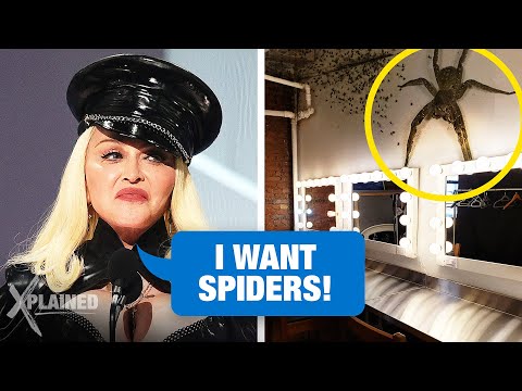 Most Extreme Celebrity Requests