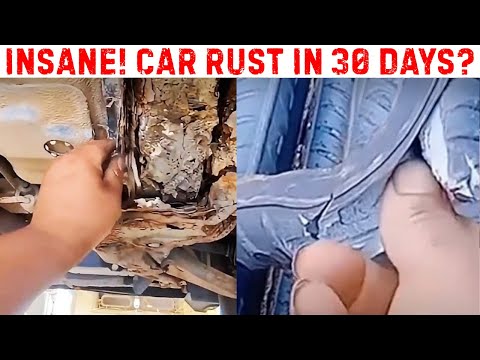 BYD Is A JOKE! 'Tofu-Dreg' Cars Rust in a Month, Brakes Fail, Owners Smash Them in Fury!