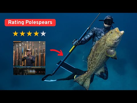 I Rated The BEST Polespears || A Buyers Guide || Polespear University