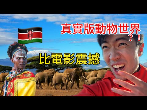 How to spend $100 to watch African migration? Maasai tribe's polygamy broke my cognition!