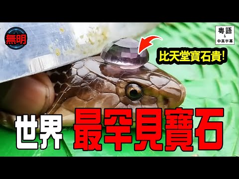 粵語 鑽石不算甚麼! 全球最貴重寶石大公開 超越《聖經》形容天堂的寶石 | 無明 中英文字幕