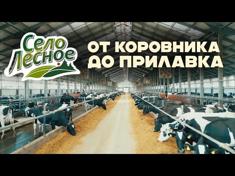 Молочное производство полного цикла торговой марки "Село Лесное" в Костанайской области