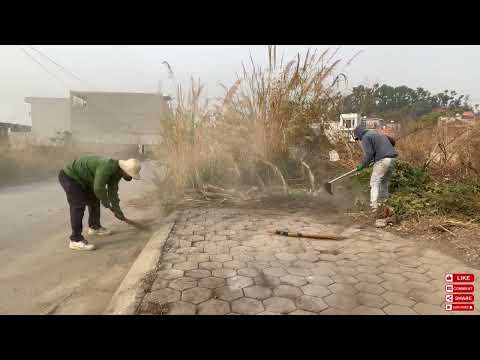 Clearing Sidewalks of Weeds & Stinky Trash Is Tough โ Locals Curious About Our Efforts.