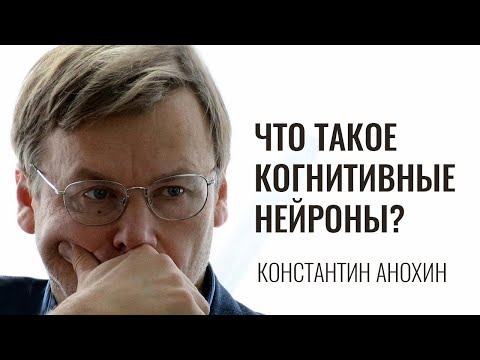 Что такое когнитивные нейроны? Константин Анохин