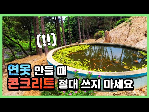 Why is maintaining a pond in your home garden so difficult? Here's why.