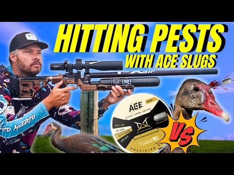FX PANTHERA Airgun Hunt! Hitting PESTS with ACE SLUGS!