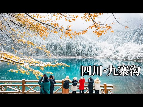 九寨沟下雪啦！到九寨沟欣赏彩林，惊喜地遇上九寨沟第一场雪，一路上的雪景像误闯入童话世界【行走世界的北京老刘】
