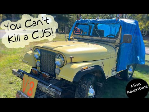 Buying One Owner 304 V8 Jeep CJ5 To Make It Roadworthy #automobile #jeep #repair