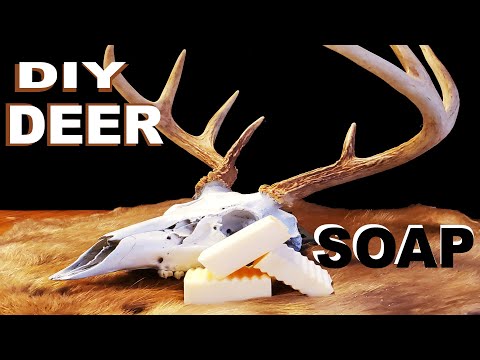 How to make soap from deer fat!!!