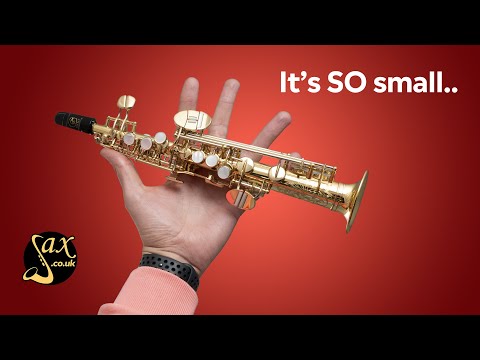 The World's Smallest Saxophone