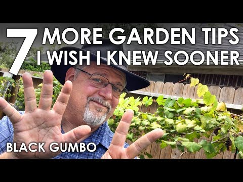 7 MORE Garden Tips I Wish I Knew Sooner || Black Gumbo