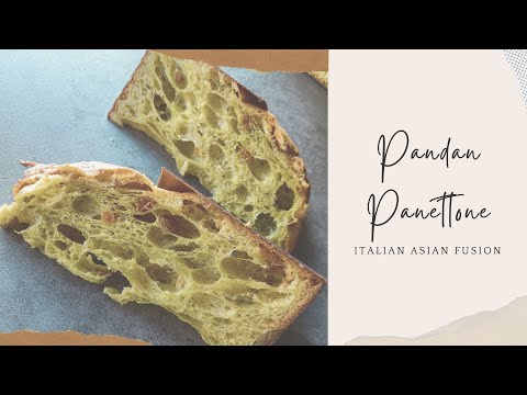 [cc] Pandan Panettone Recipe | Sourdough |