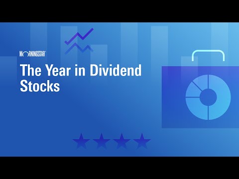 The Year in Dividend Stocks