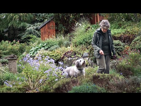 Drawn into the Garden - a short documentary