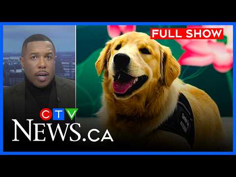 Service dog killed at Gatineau daycare | CTV News Ottawa at Five for Monday, March 23, 2026