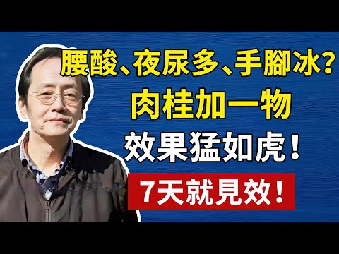 一味肉桂,竟是張仲景的“心頭肉”!從桂枝湯到腎氣丸,沒它不行!你還在當調料?你錯過的是“溫補腎陽”第一神藥!#倪海廈#中醫#養生#健康