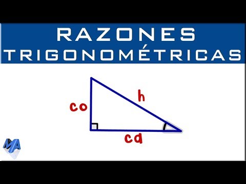 Opposite leg, adjacent leg, and hypotenuse | Locate correctly