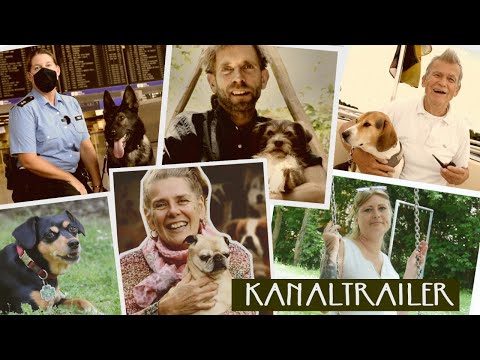 Kanaltrailer: Geschichten über Menschen und ihre Hunde 🐕🐶🐩