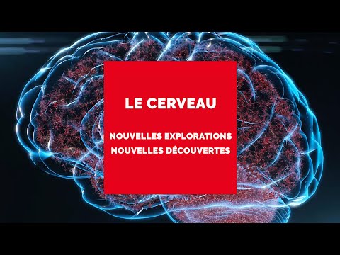 Fondamental ! À la recherche du Futur | EP3 | Les recherches sur le cerveau